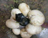 Foto del paso 2 de la receta: Falso Cuscús de verduras y Garbanzos