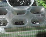 Foto del paso 3 de la receta: Paletas de oreo