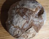 Foto del paso 8 de la receta: Pan con biga