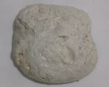 Foto langkah ke 15 dari resep Wijen Italian Herbs Cheese Sourdough Bread (Open Bake Method).