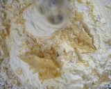 Foto langkah ke 2 dari resep (629) Cake Tape Moist (Recommended).