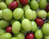 عکس مرحله 4 از دستور خورشت گوجه سبز با مرغ