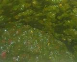 A picture of step 1 of Veg grilled sandwich.