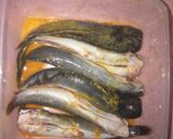 Foto langkah ke 1 dari resep Ikan Lele Mangut.