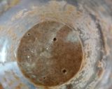 Foto del paso 1 de la receta: Masa madre (con harina integral)