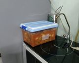 Hình bước làm 10 của món Kim chi cải thảo