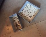 A picture of step 6 of Raisin milk chocolate chips cake.
