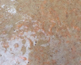 Foto del paso 2 de la receta: Bizcocho de zanahoria 🥕