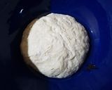 Foto del paso 2 de la receta: La Vera pizza napoletana