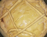 Foto del paso 3 de la receta: Empanada boloñesa