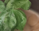 Foto del paso 2 de la receta: Infusión de albahaca, jengibre y limón 🌱 🫚 🍋 Infusión antinflamatoria de albahaca