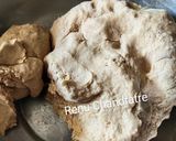 नरम मुलायम फुल्के (naram mulayam fulke recipe in Hindi) रेसिपी चरण 1 फोटो