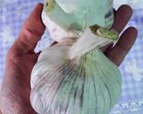 Foto del paso 1 de la receta: Ajos macerados en aceite de oliva virgen extra