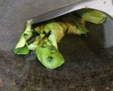 Foto langkah ke 4 dari resep Kering Kentang Kacang Bihun Pedas Gurih.