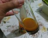 Foto langkah ke 2 dari resep Orange squash khaki fusion.