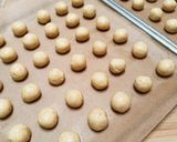 Foto langkah ke 6 dari resep Coconut Cookies.