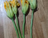 A picture of step 1 of Stuffed Pumpkin flowers with ricotta.