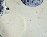রাইস সেল(Rice Shells recipe in Bengali) রেসিপির ধাপ 4 ছবি