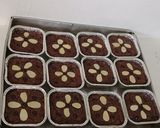 Foto langkah ke 8 dari resep Fudgy Brownes.