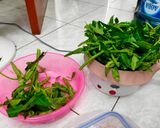 Foto langkah ke 2 dari resep Tumis Kangkung.
