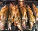 Foto del paso 3 de la receta: Pescados constantin al disco al estilo Sonorense