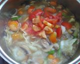 Foto langkah ke 4 dari resep Sup sayur segar ala pedesaan .