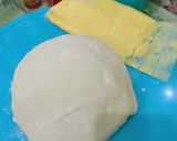 Foto langkah ke 3 dari resep Zupa sup cream chesee.