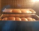 Foto langkah ke 9 dari resep Roti tawar Shokupan poolish.