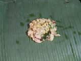 Pepes Tahu Ayam Corn