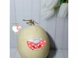 Es melon salju