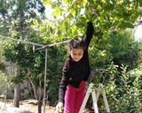 صورة لخطوة 2 من وصفة حامض الحصرم العنبي