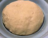 Foto langkah ke 1 dari resep [134] Potato Wool Bread.