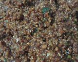 Foto langkah ke 5 dari resep Bumbu Pecel.