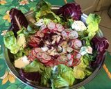 Une image de l'étape 13 de Salade de printemps aux radis cerises et mozzarella di buffala.