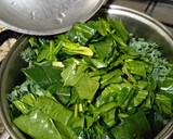 Foto del paso 6 de la receta: Puré de espinacas y kale