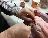 Φωτογραφία βήματος 9 της συνταγής Κατσικάκι πλάτη με γέμιση στο φούρνο & μακαρόνια Σάμου Αντώνης