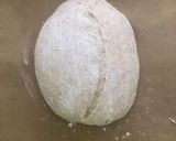 Foto langkah ke 5 dari resep Basic Sourdough Bread.