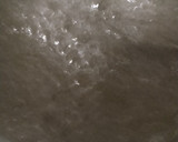 Foto del paso 5 de la receta: Licor de menta