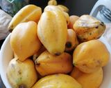 Foto del paso 1 de la receta: Jugo de papayas y papayas a la crema