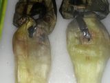 Berenjenas en aceite