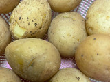 Potatoes 102(smashed potatoes)
