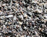 A picture of step 7 of Cotton seeds milk (paruthe paal).