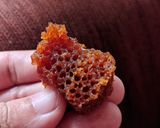 Foto langkah ke 7 dari resep Bolu karamel / sarang semut.