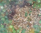 A picture of step 3 of Tadka Green pulao.