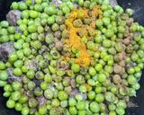 Une image de l'étape 2 de Tajine de Petit Pois et Courgettes.