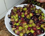 Foto del paso 2 de la receta: Aceitunas al estilo campo real (la recolección)