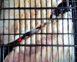 Foto del paso 8 de la receta: Pez raya a las brasas acompañado con salsa de tomates