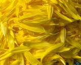 Chrysanthemums Sushi recipe step 1 photo