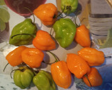 Foto del paso 1 de la receta: Salsa de chile Habanero 🌶