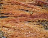 A picture of step 3 of Zafrani Sheer khurma.